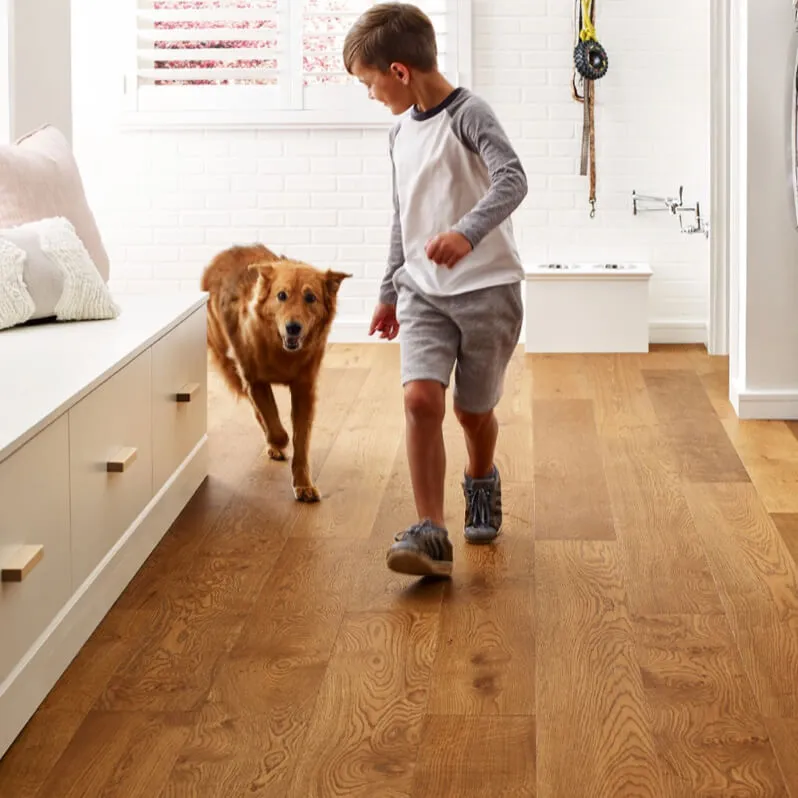 Pet perfect flooring | Enfield Carpet & Flooring